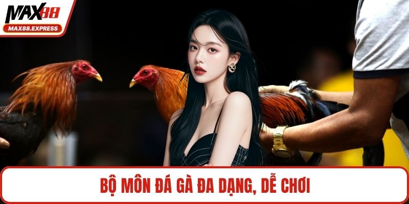 Bộ môn đá gà đa dạng, dễ chơi