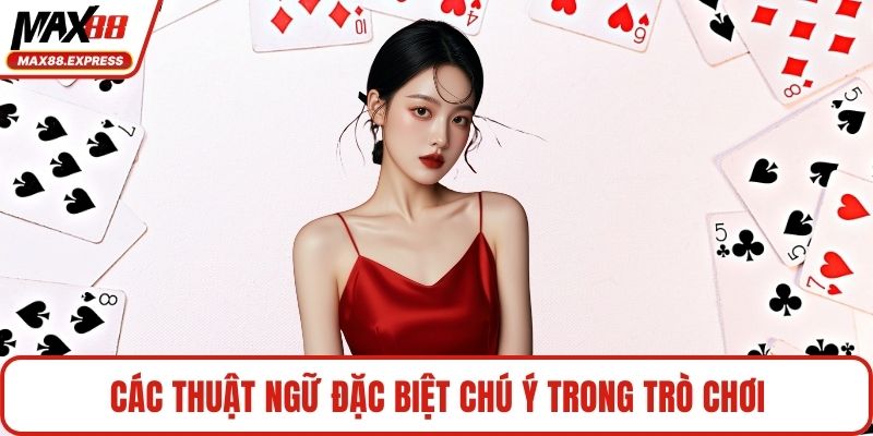 Các thuật ngữ đặc biệt chú ý trong trò chơi