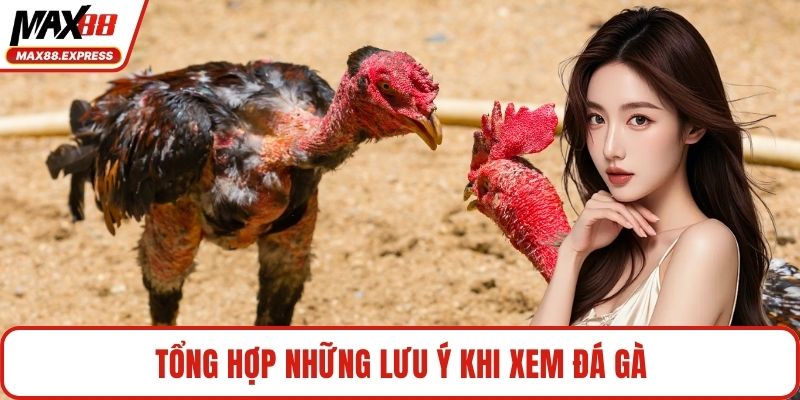 Tổng hợp những lưu ý khi xem đá gà